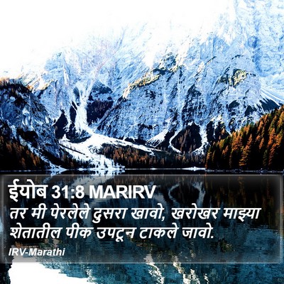 ईयोब 31:8 MARIRV Bible Verse Image