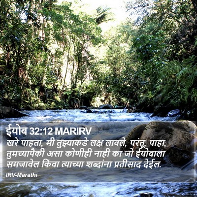 ईयोब 32:12 MARIRV Bible Verse Image