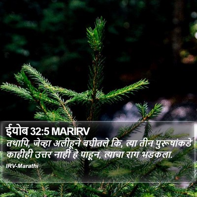 ईयोब 32:5 MARIRV Bible Verse Image