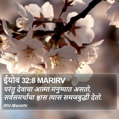 ईयोब 32:8 MARIRV Bible Verse Image