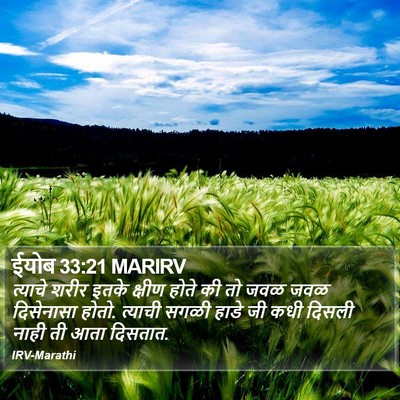 ईयोब 33:21 MARIRV Bible Verse Image