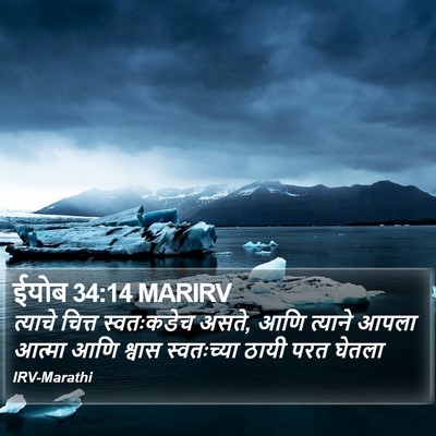 ईयोब 34:14 MARIRV Bible Verse Image