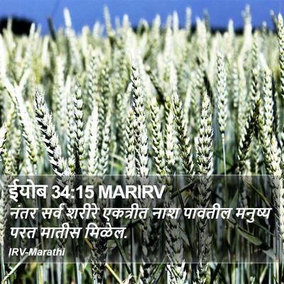 ईयोब 34:15 MARIRV Bible Verse Image