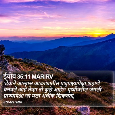 ईयोब 35:11 MARIRV Bible Verse Image