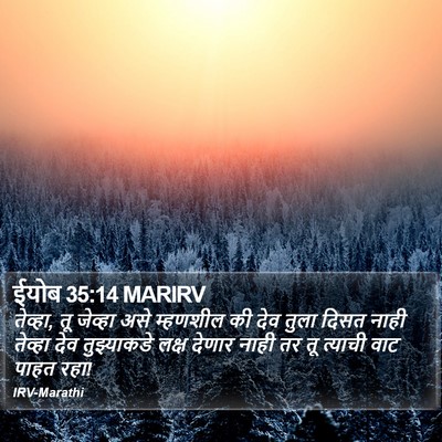 ईयोब 35:14 MARIRV Bible Verse Image