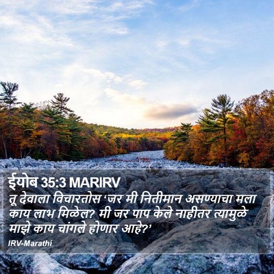 ईयोब 35:3 MARIRV Bible Verse Image