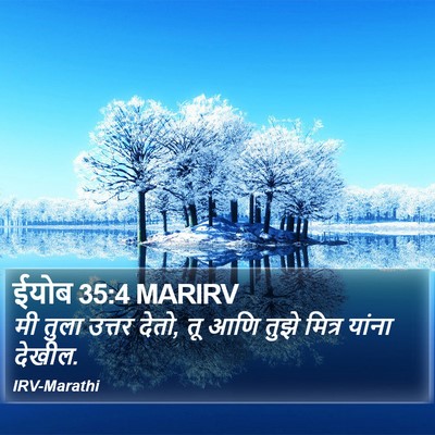 ईयोब 35:4 MARIRV Bible Verse Image