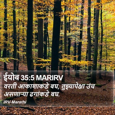 ईयोब 35:5 MARIRV Bible Verse Image