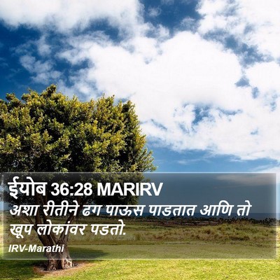 ईयोब 36:28 MARIRV Bible Verse Image