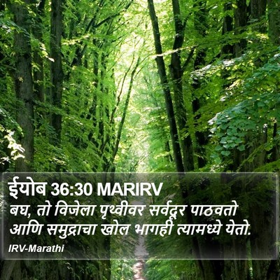 ईयोब 36:30 MARIRV Bible Verse Image