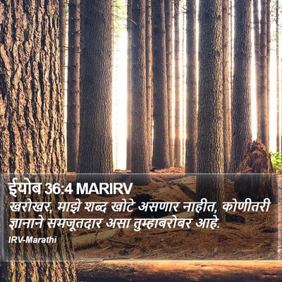 ईयोब 36:4 MARIRV Bible Verse Image