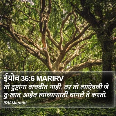ईयोब 36:6 MARIRV Bible Verse Image