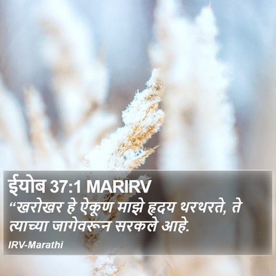 ईयोब 37:1 MARIRV Bible Verse Image
