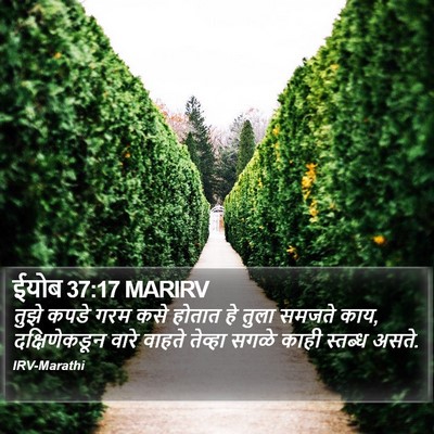 ईयोब 37:17 MARIRV Bible Verse Image