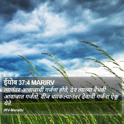 ईयोब 37:4 MARIRV Bible Verse Image