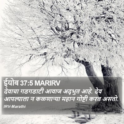ईयोब 37:5 MARIRV Bible Verse Image