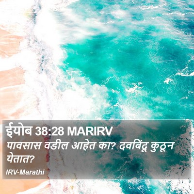 ईयोब 38:28 MARIRV Bible Verse Image