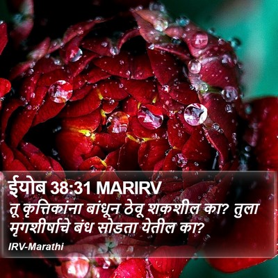 ईयोब 38:31 MARIRV Bible Verse Image