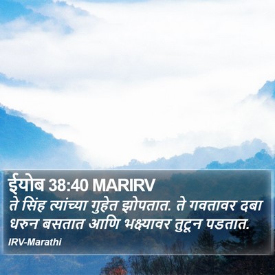 ईयोब 38:40 MARIRV Bible Verse Image