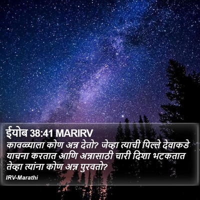 ईयोब 38:41 MARIRV Bible Verse Image