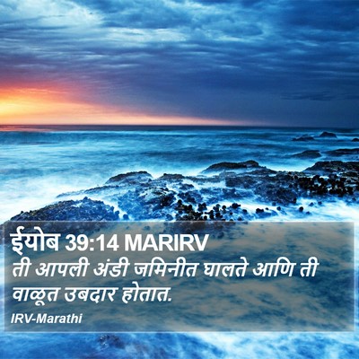 ईयोब 39:14 MARIRV Bible Verse Image