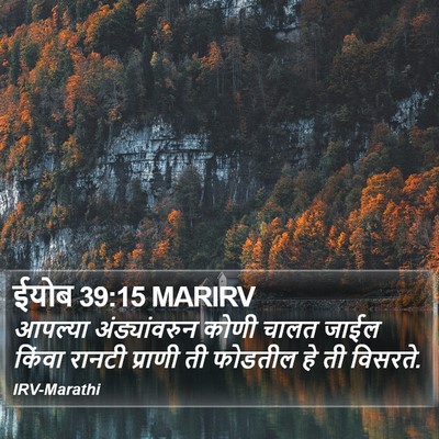 ईयोब 39:15 MARIRV Bible Verse Image