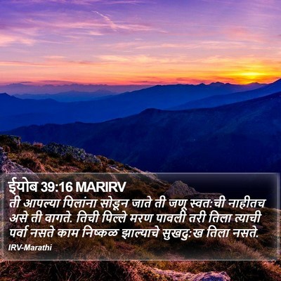 ईयोब 39:16 MARIRV Bible Verse Image
