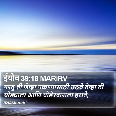 ईयोब 39:18 MARIRV Bible Verse Image
