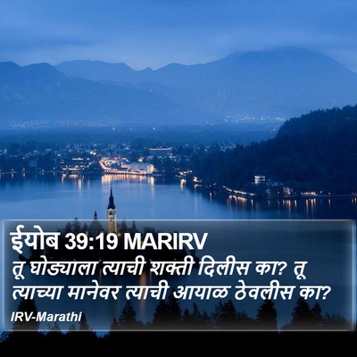 ईयोब 39:19 MARIRV Bible Verse Image
