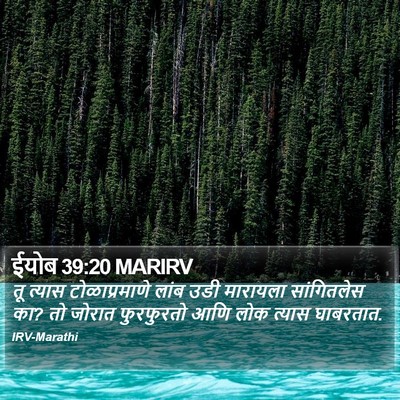 ईयोब 39:20 MARIRV Bible Verse Image
