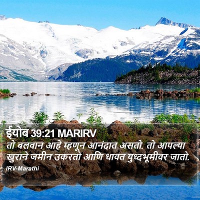 ईयोब 39:21 MARIRV Bible Verse Image