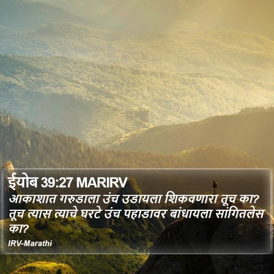 ईयोब 39:27 MARIRV Bible Verse Image