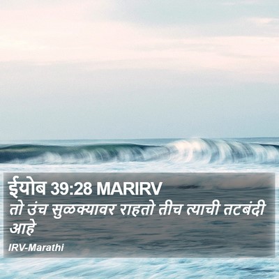 ईयोब 39:28 MARIRV Bible Verse Image