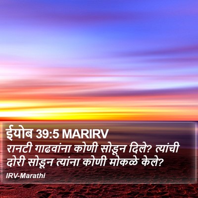 ईयोब 39:5 MARIRV Bible Verse Image
