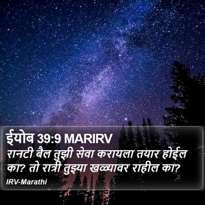ईयोब 39:9 MARIRV Bible Verse Image