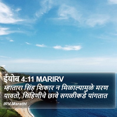 ईयोब 4:11 MARIRV Bible Verse Image