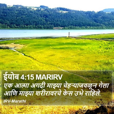 ईयोब 4:15 MARIRV Bible Verse Image