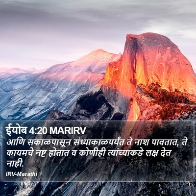 ईयोब 4:20 MARIRV Bible Verse Image