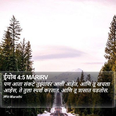 ईयोब 4:5 MARIRV Bible Verse Image