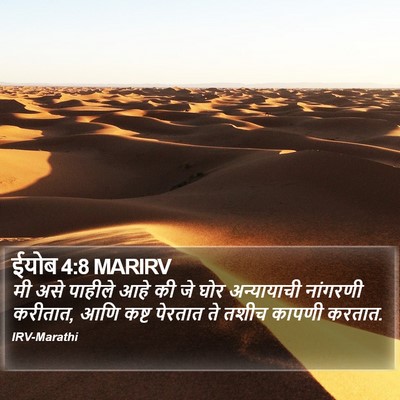 ईयोब 4:8 MARIRV Bible Verse Image