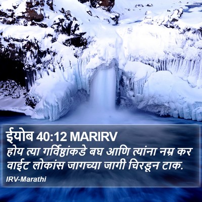 ईयोब 40:12 MARIRV Bible Verse Image