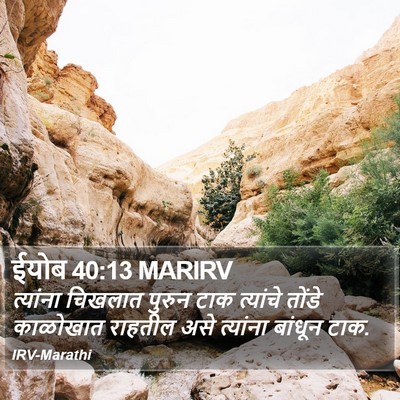 ईयोब 40:13 MARIRV Bible Verse Image