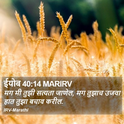 ईयोब 40:14 MARIRV Bible Verse Image