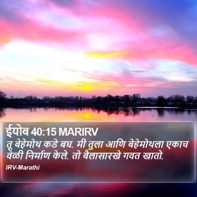 ईयोब 40:15 MARIRV Bible Verse Image