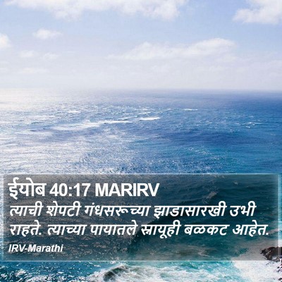 ईयोब 40:17 MARIRV Bible Verse Image