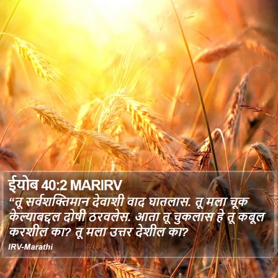ईयोब 40:2 MARIRV Bible Verse Image
