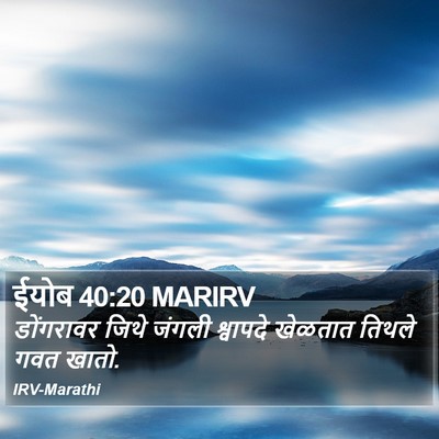 ईयोब 40:20 MARIRV Bible Verse Image