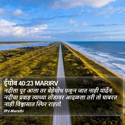 ईयोब 40:23 MARIRV Bible Verse Image