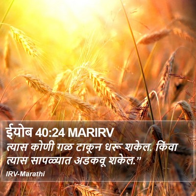 ईयोब 40:24 MARIRV Bible Verse Image
