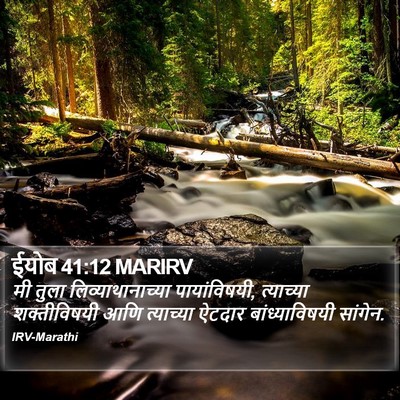 ईयोब 41:12 MARIRV Bible Verse Image